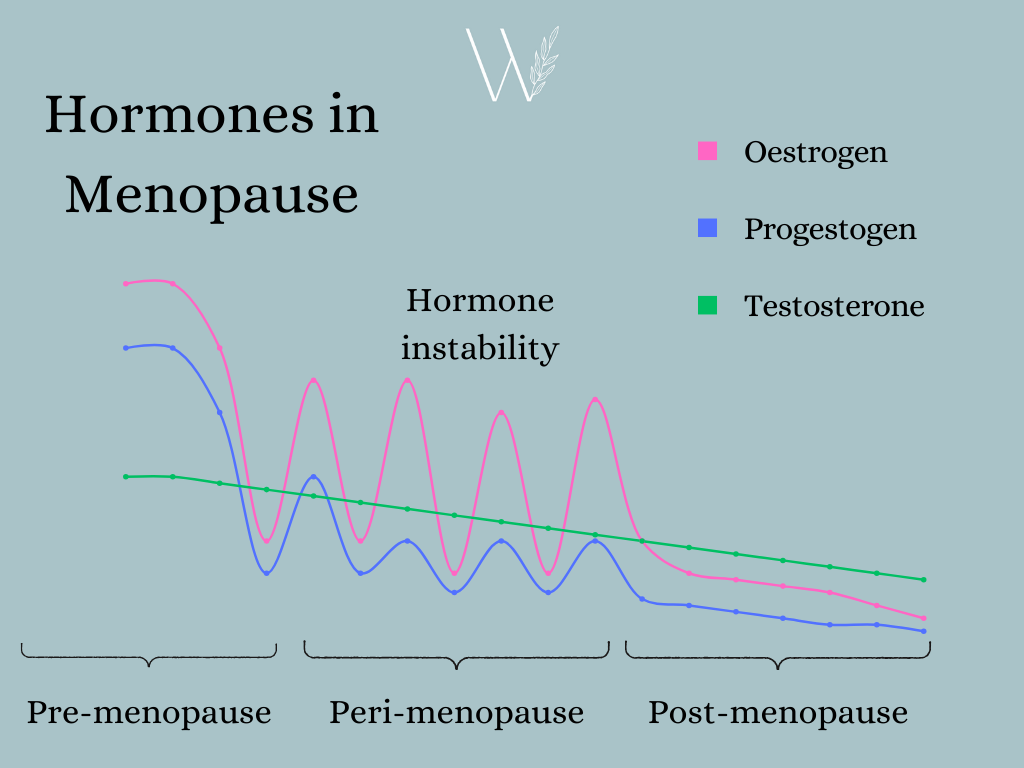 Hormones in Menopause